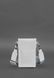 BN-GC-31-light фото 1